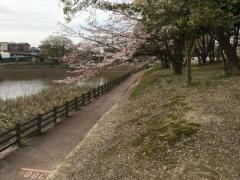 鹿助公園