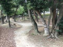 鹿助公園
