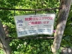 こうなん　藤祭り