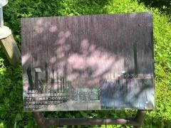 こうなん　藤祭り