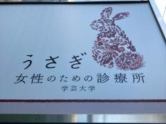 うさぎ　女性のための診療所