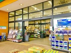 カインズ　大原店