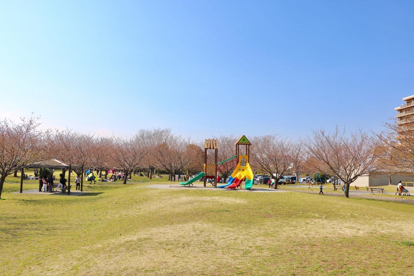 公園内