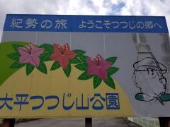 大平つつじ山
