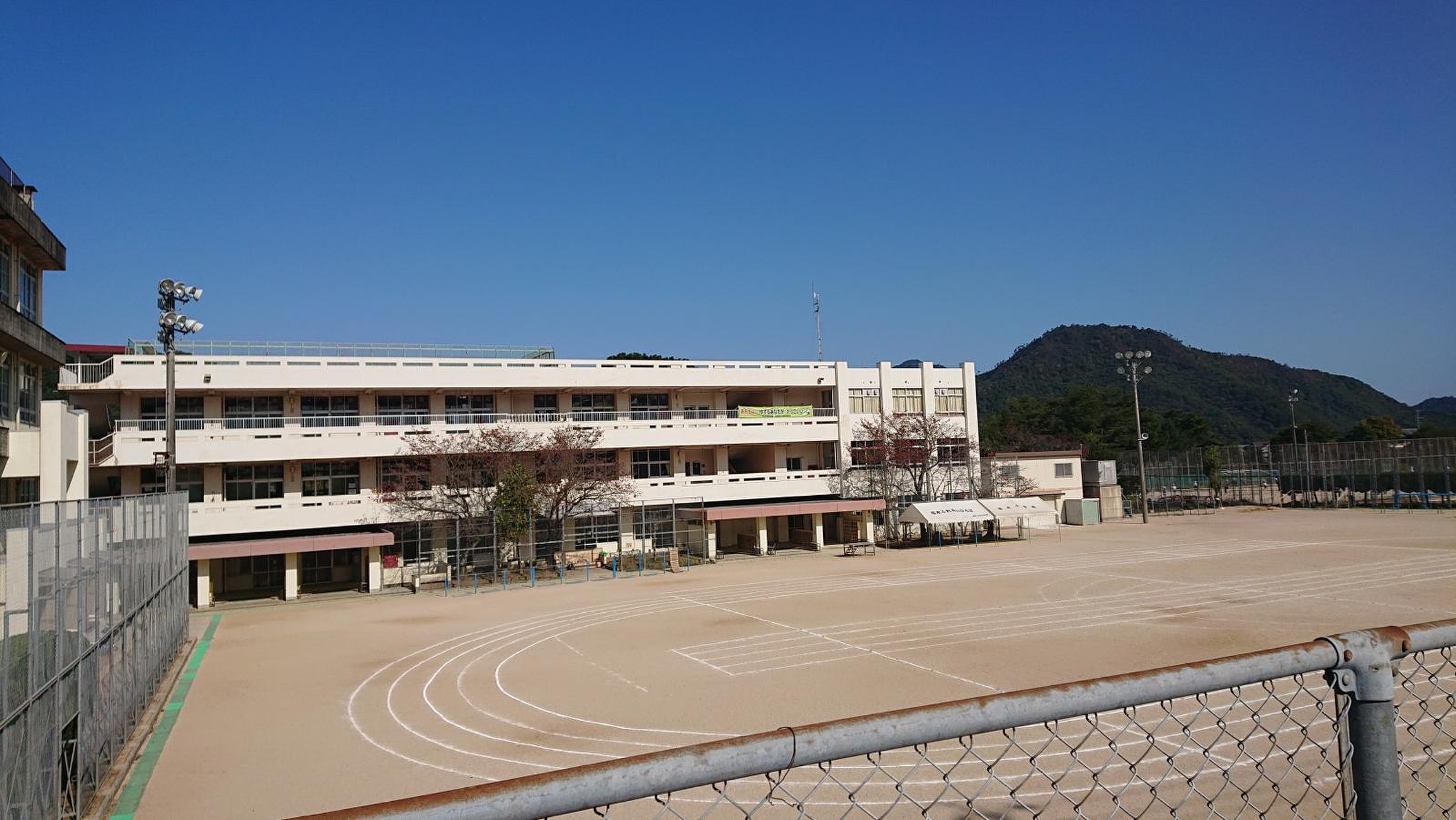 福 木 小学校