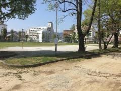 青柳公園