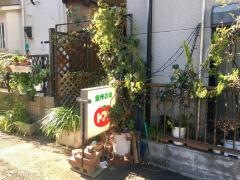 トマト