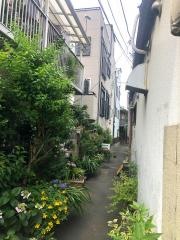 トマト