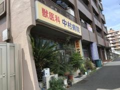 獣医科中村病院