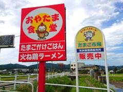 おやたま食堂