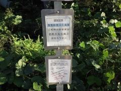 「川前(桑折町)」バス停留所