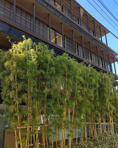 クラシックガーデン文京根津