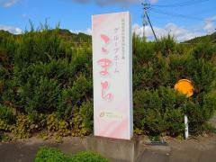 こまち
