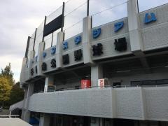 千代台公園野球場