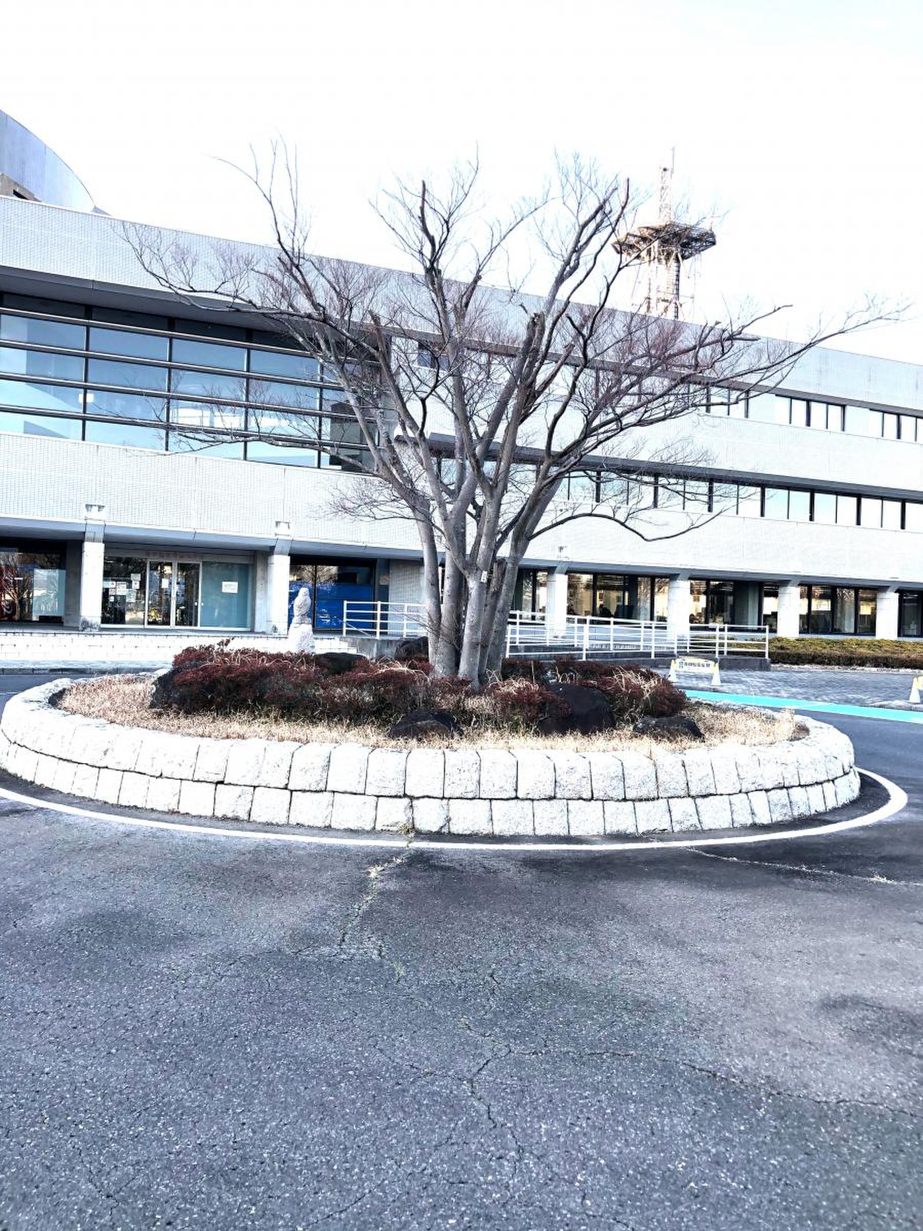 当時のメディア報道・掲載写真