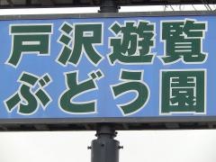 戸沢遊覧ぶどう園