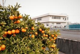 三好自動車学校