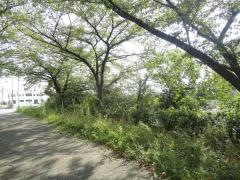 豊生橋街園