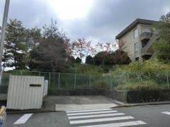 高の原小学校