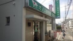 オノエ動物病院