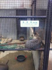 河北町児童動物園