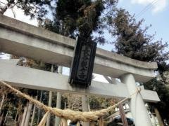 長谷寺