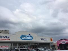 ウエルシア　新潟南笹口店