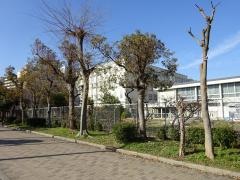 南港光小学校