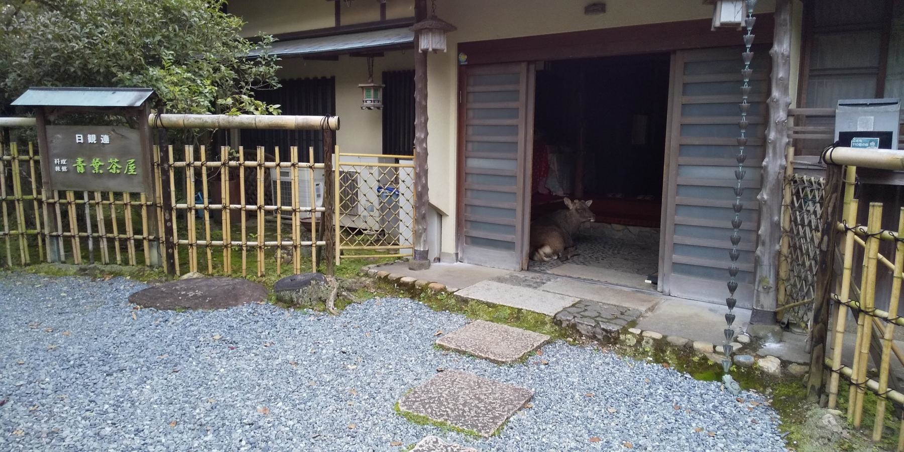 外観です。