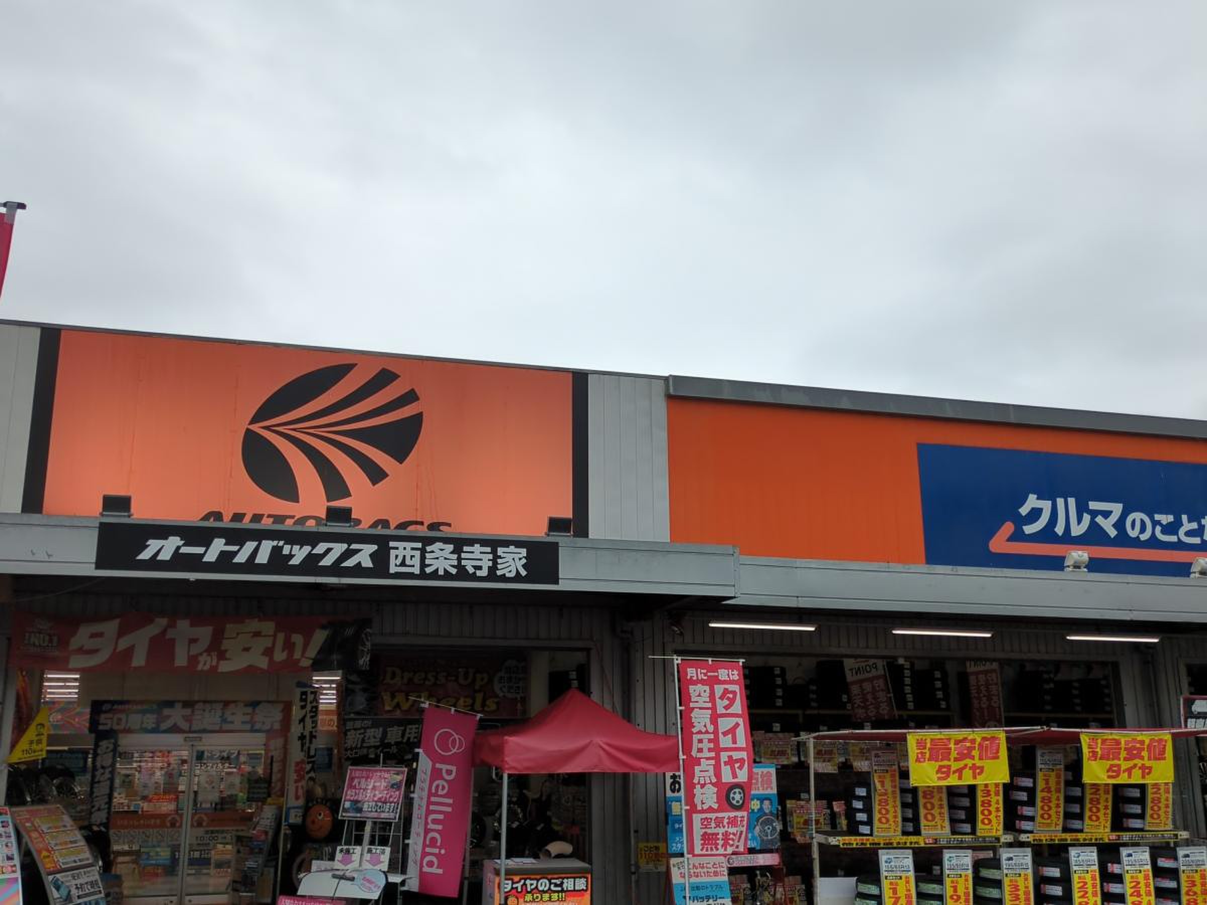活動歴および当時の関連ビジュアル記録