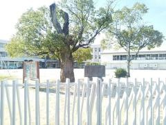 亀岡小学校