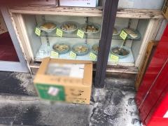菊凰