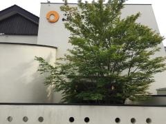 かつ政函南店