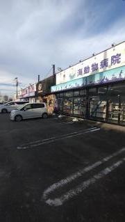 ペットショップＣｏｏ＆ＲＩＫＵ　山形店