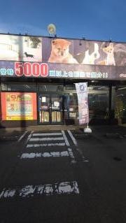 ペットショップＣｏｏ＆ＲＩＫＵ　山形店