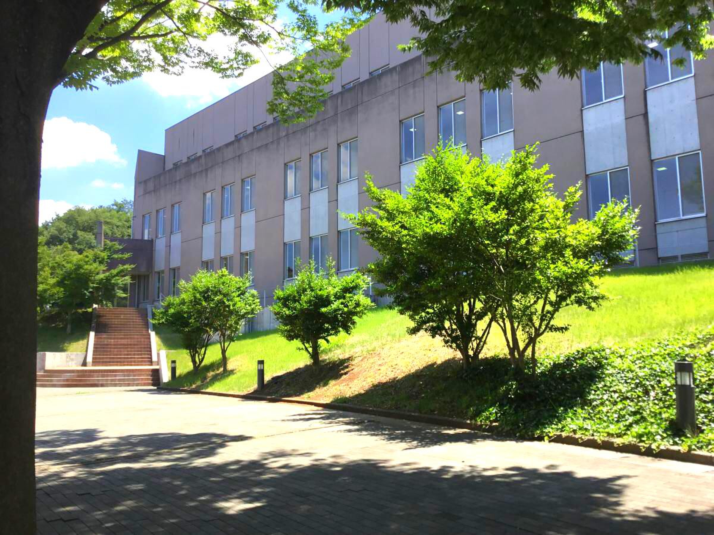 埼玉 女子 短期 大学
