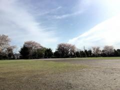 富士見公園