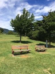 丸山公園