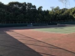 田原市緑が浜公園