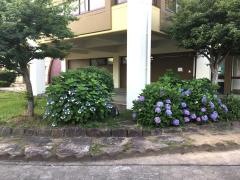 西諫早ふれあい広場プール