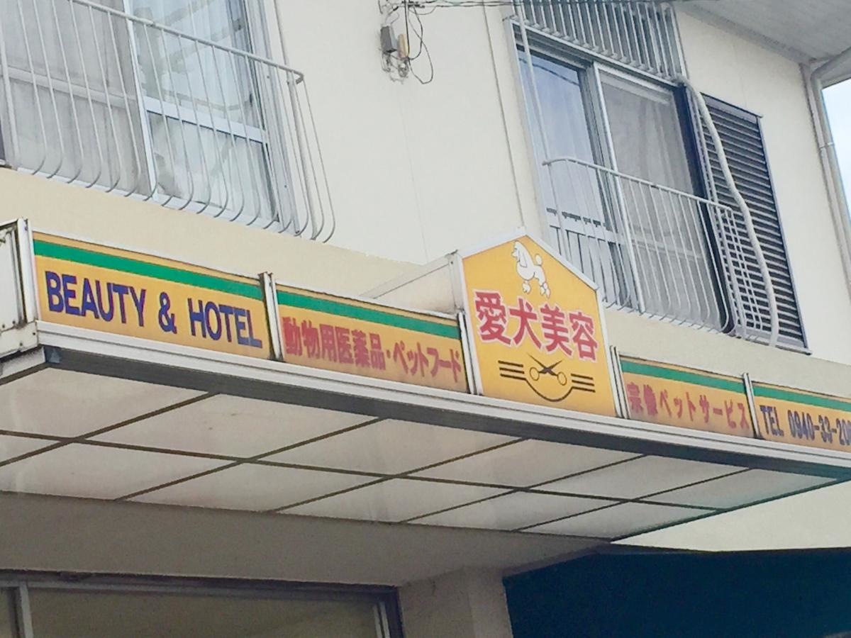 案内看板