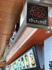 はなまるうどん イオンモール大曲店