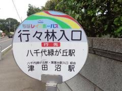 「行々林入口」バス停留所