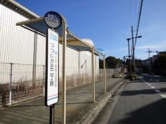 「つつじが丘二丁目」バス停留所
