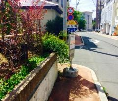 「花丘町」バス停留所