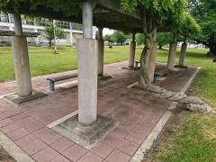 藤ケ丘公園