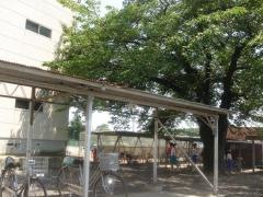 鹿沼市立北中学校