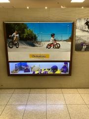 ムラサキスポーツ　FKD宇都宮店