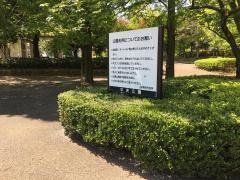 中央公園