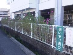 白石小学校